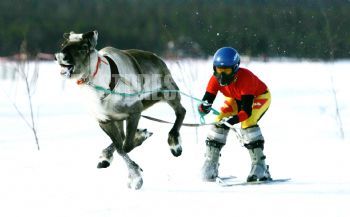 EA337025, Eastpress, Inari, Finland